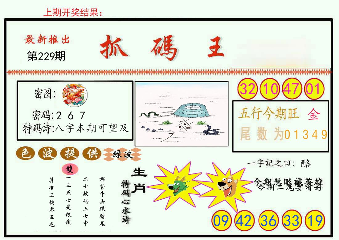 最新抓码王 第229期