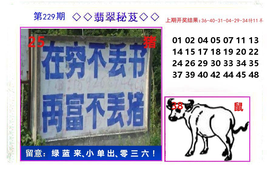 翡翠秘芨 第229期