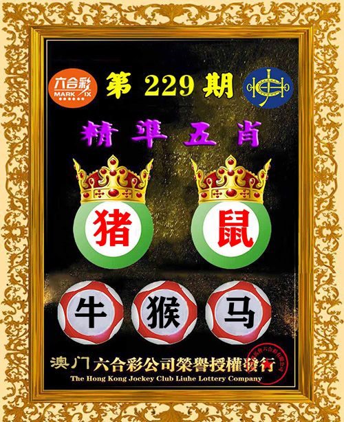 精准五肖 第229期