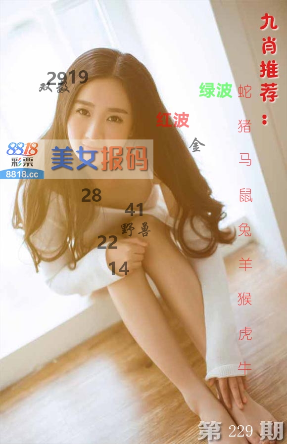 美女报码 第229期