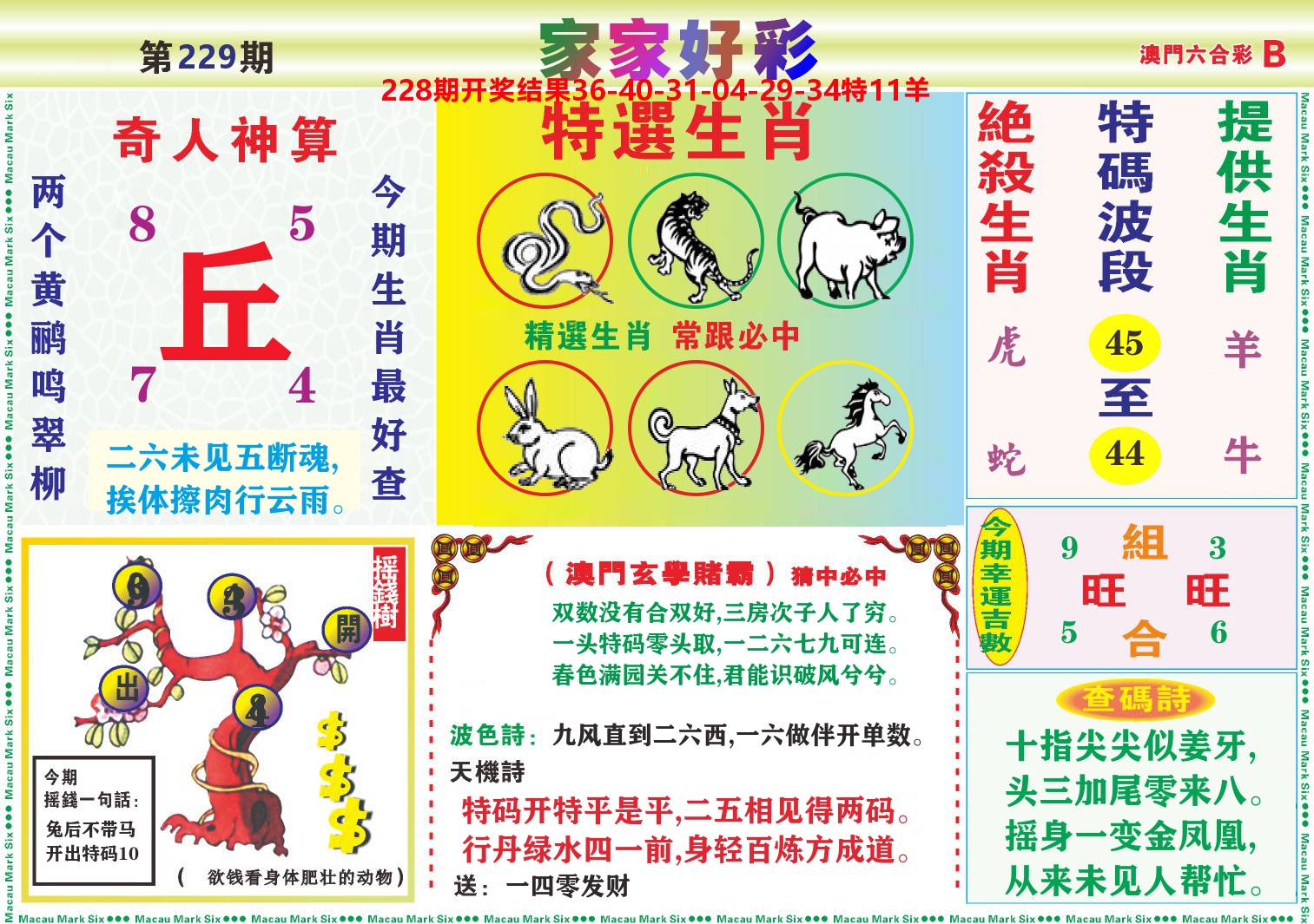 家家好彩B 第229期