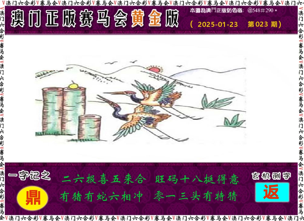 赛马会黄金版 第23期