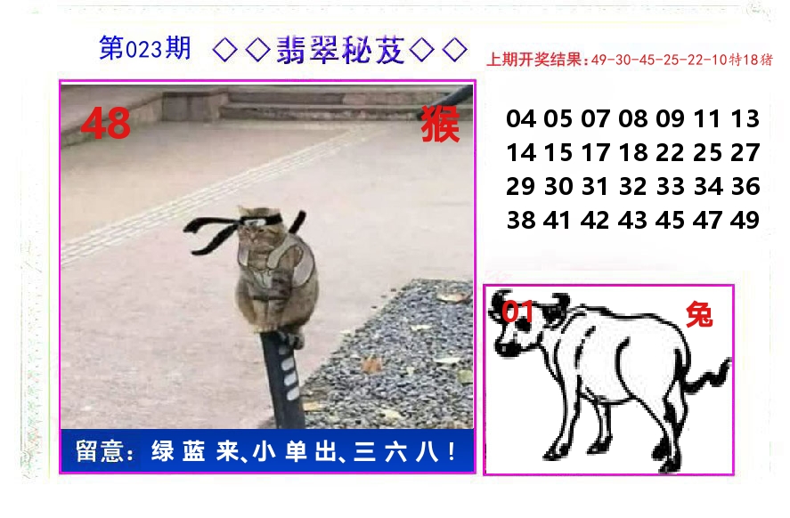 翡翠秘芨 第23期