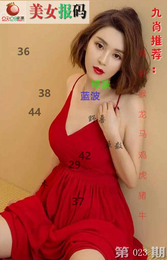 美女报码 第23期