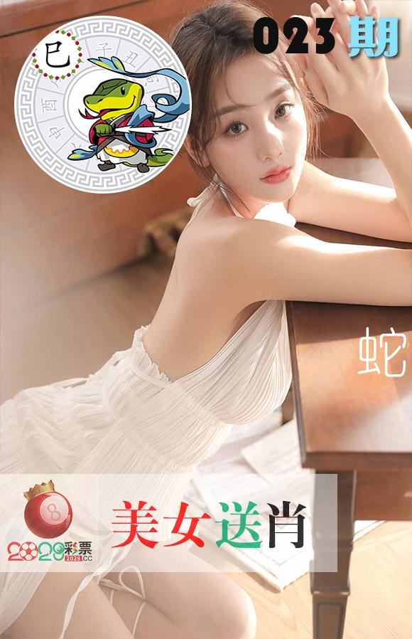 美女送肖 第23期
