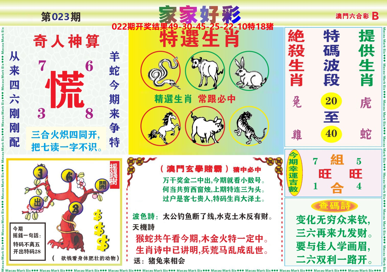 家家好彩B 第23期
