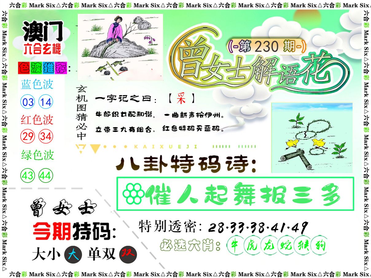 曾女士解语花 第230期