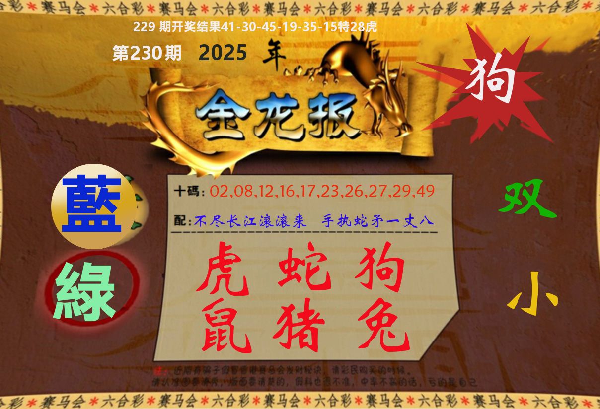 金龙报 第230期