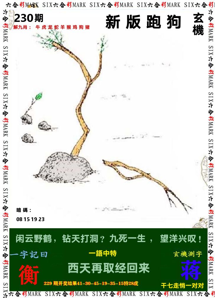 悟入其图 第230期