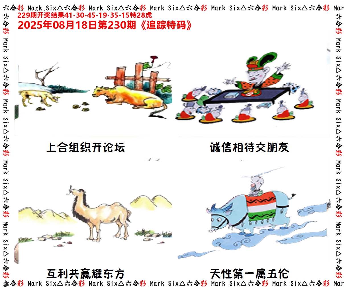 追踪特码 第230期