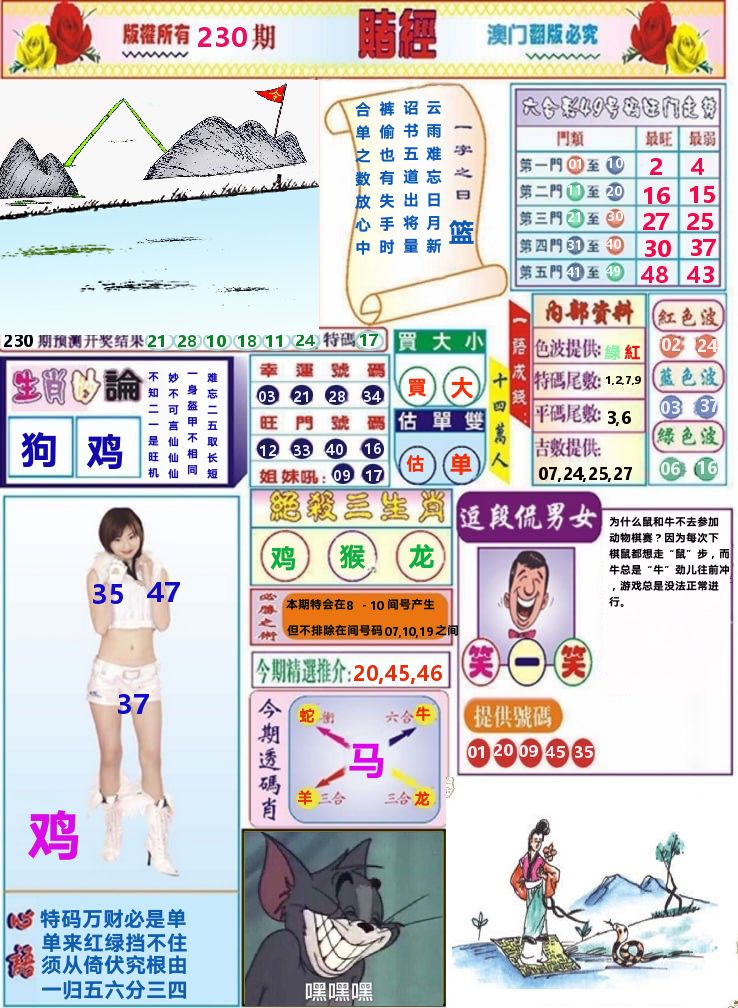 澳门赌经 第230期