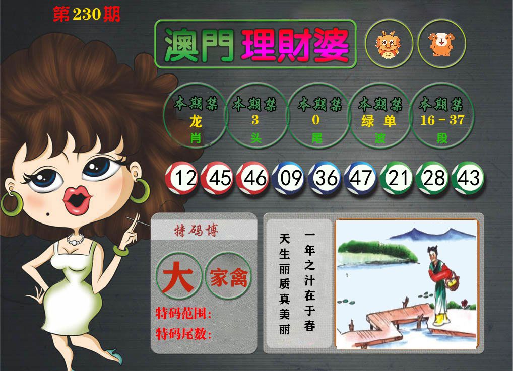 理财婆 第230期