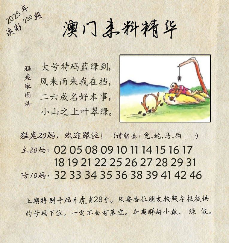 精华来料 第230期