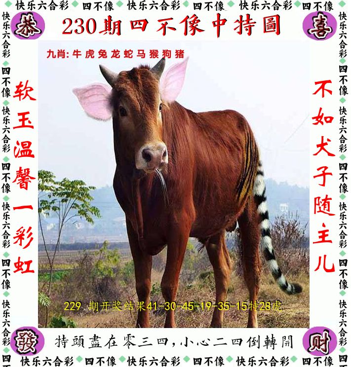 四不像 第230期