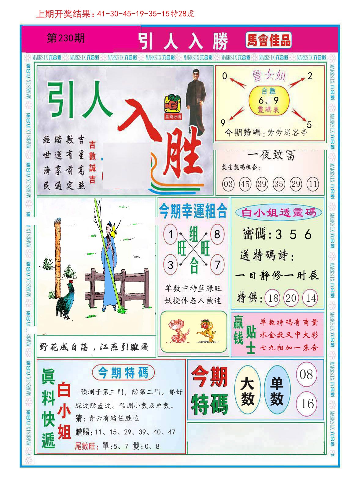 引人入胜 第230期