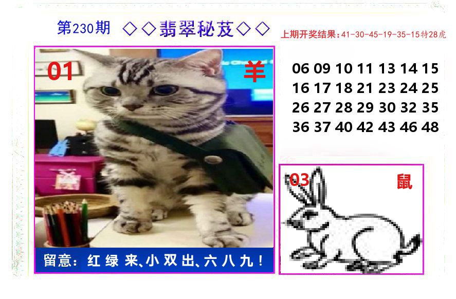 翡翠秘芨 第230期