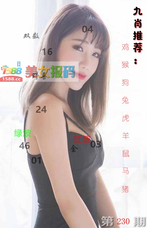 美女报码 第230期