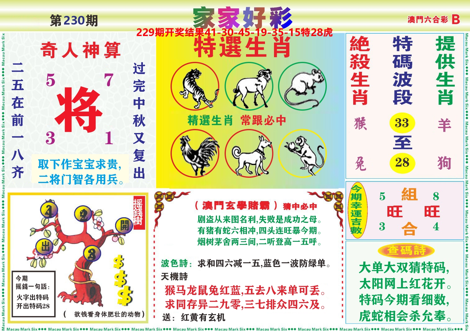 家家好彩B 第230期