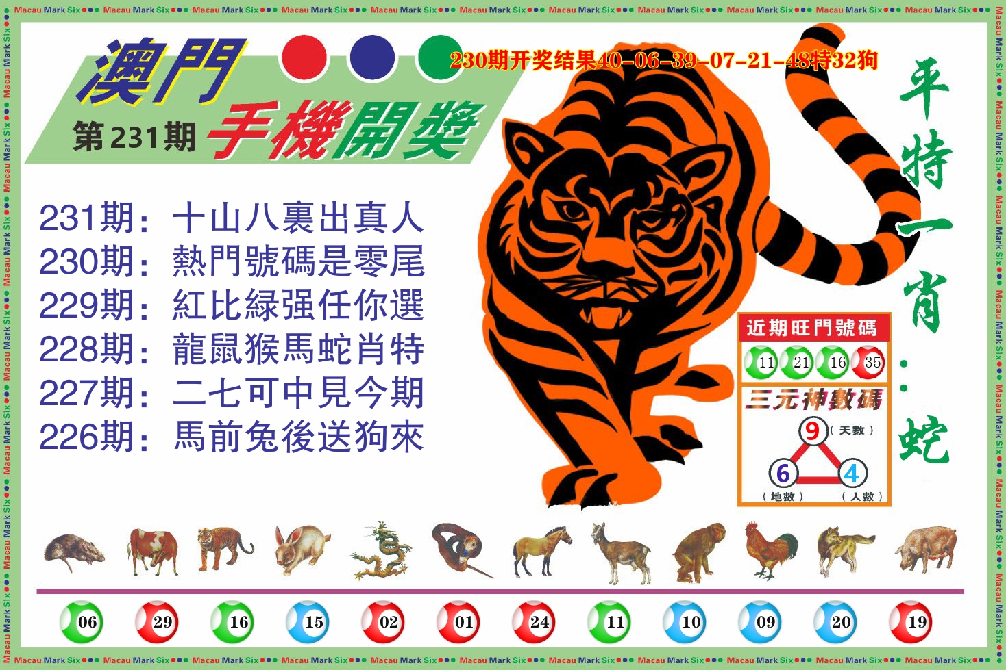 澳门开奖报 第231期