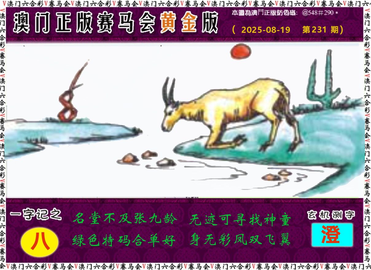 赛马会黄金版 第231期
