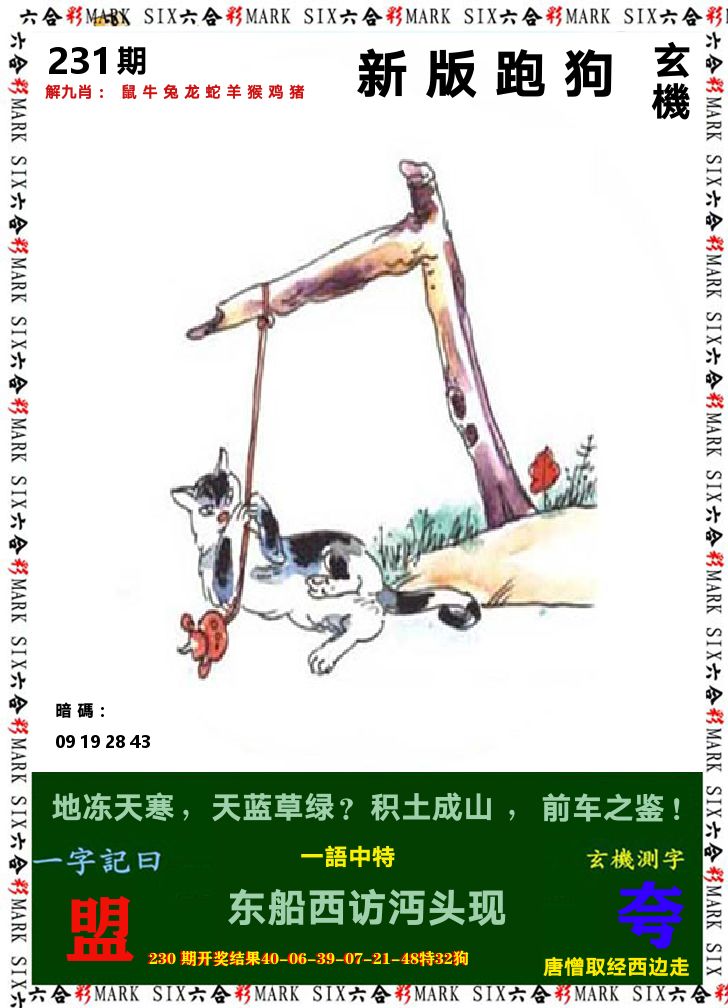 悟入其图 第231期