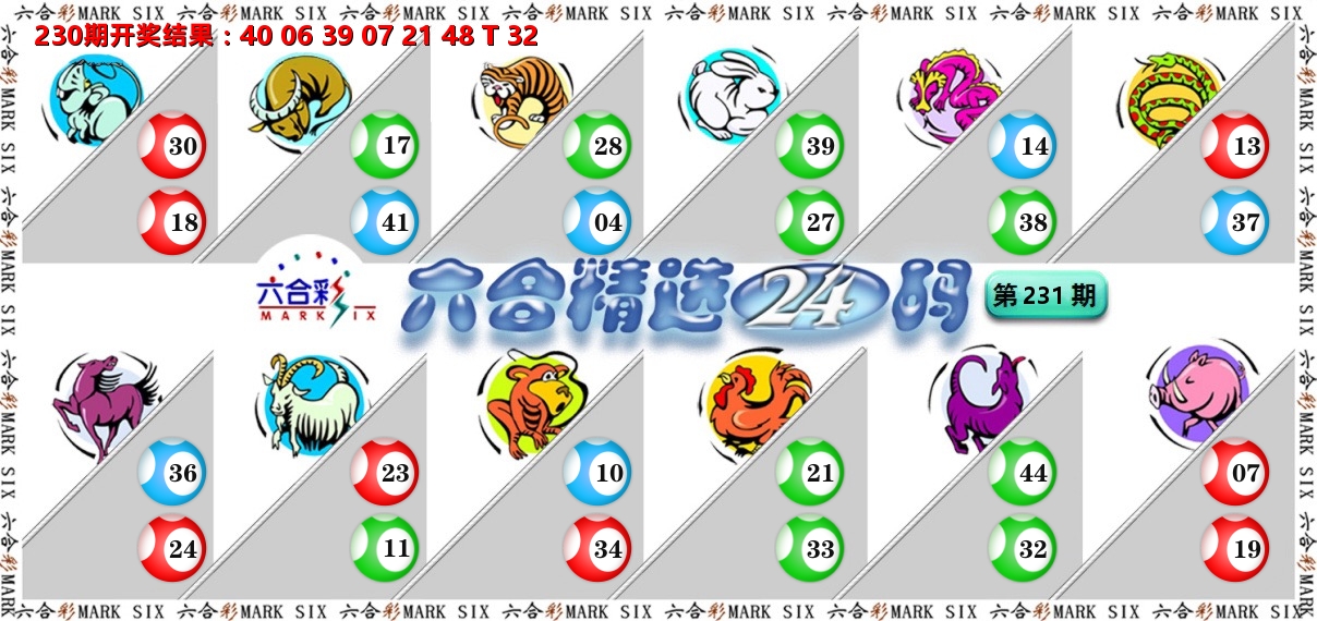 六合精选24码 第231期
