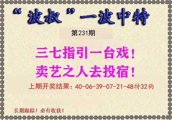 波叔中特 第231期