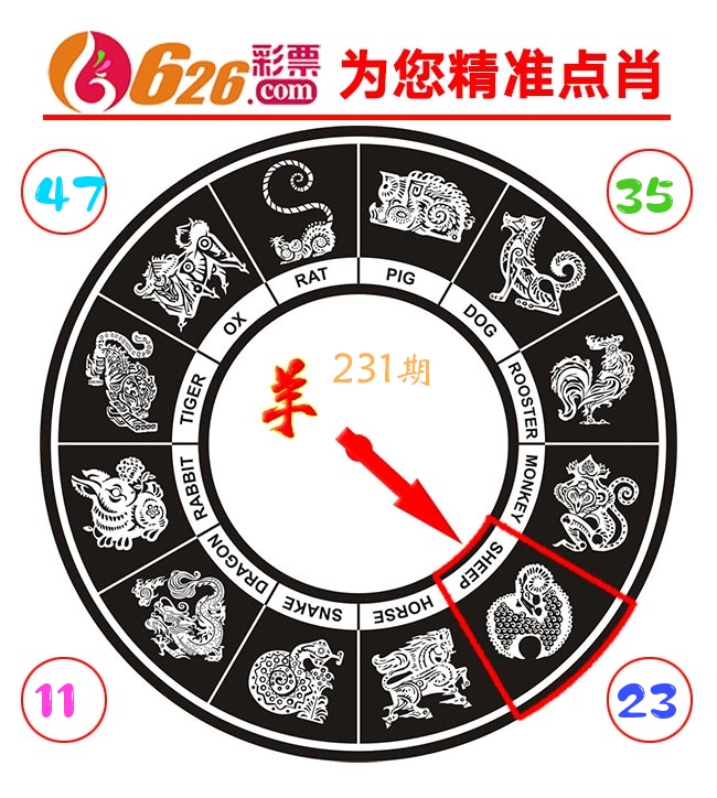 精准点肖 第231期