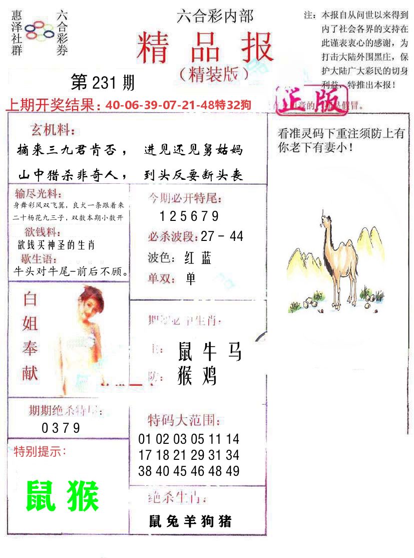 精品报 第231期