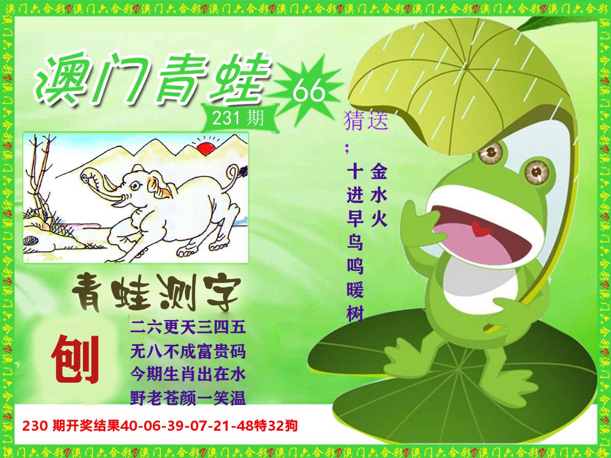 青蛙系列66 第231期