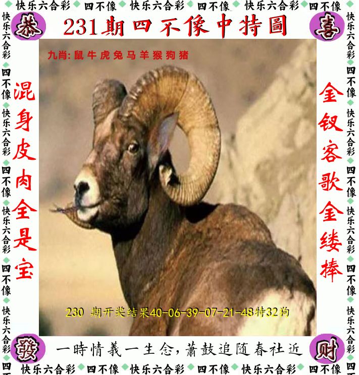 四不像 第231期