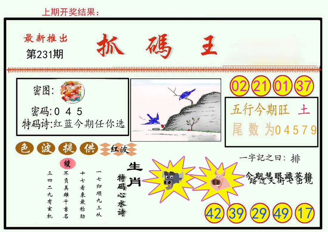 最新抓码王 第231期
