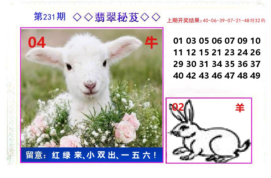 翡翠秘芨 第231期