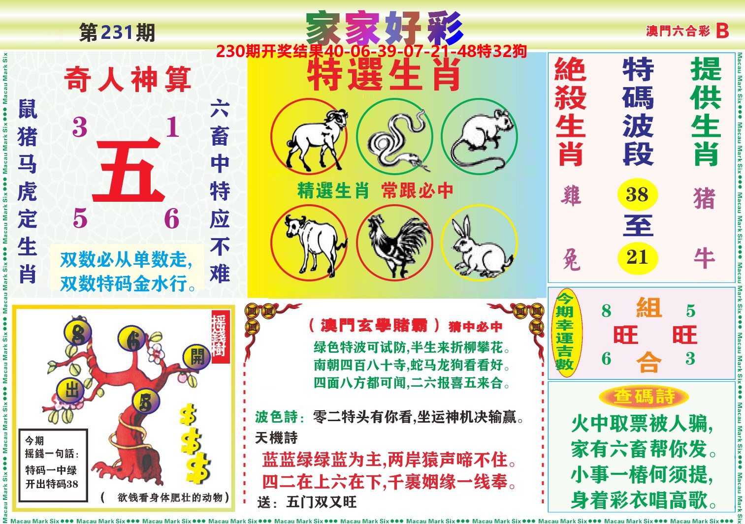 家家好彩B 第231期