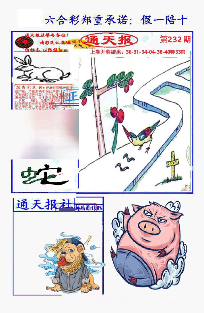 通天报 第232期