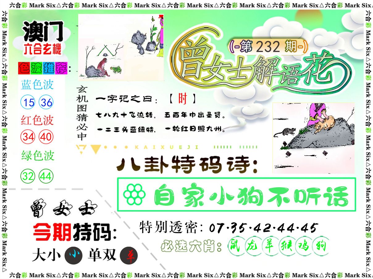 曾女士解语花 第232期