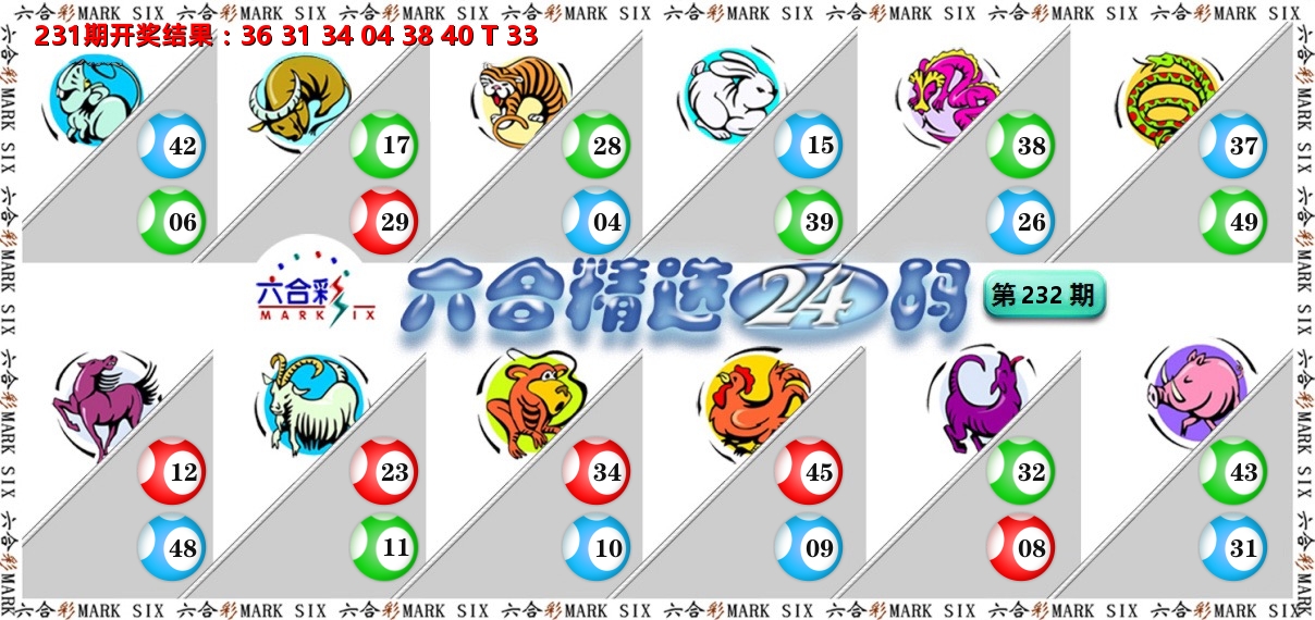 六合精选24码 第232期