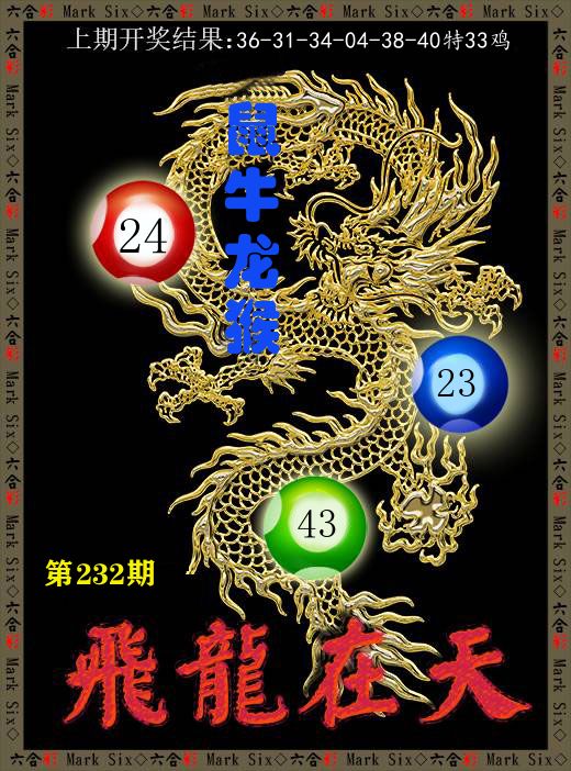 飞龙在天 第232期