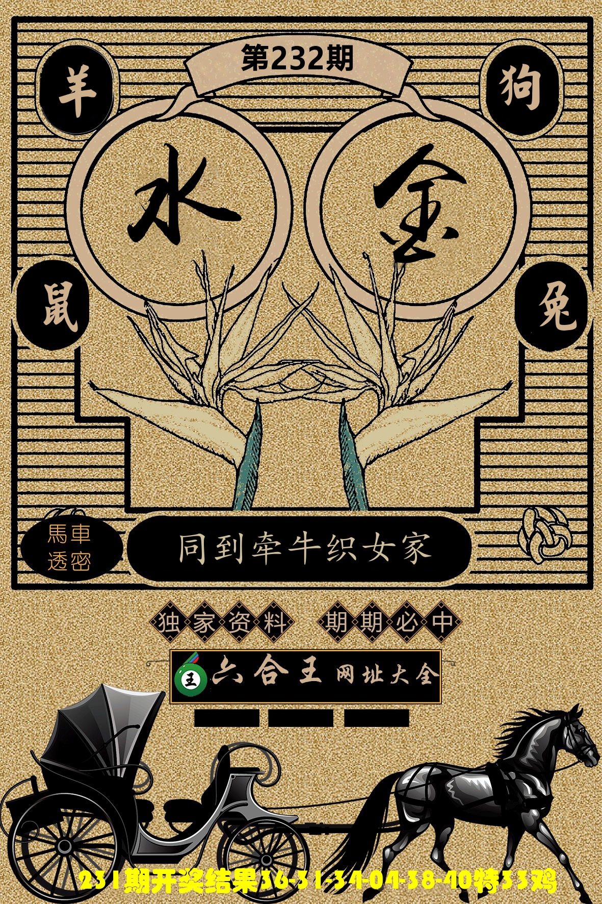 六合王马车透密 第232期