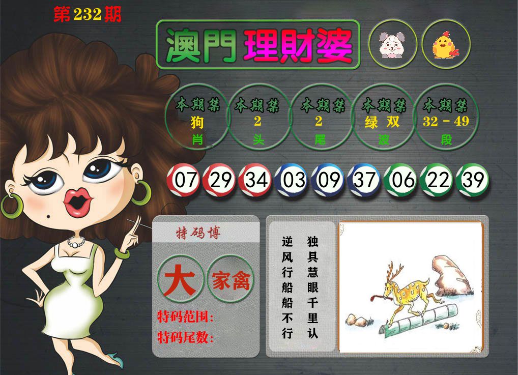 理财婆 第232期