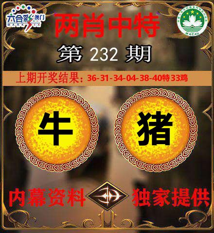 两肖中特 第232期