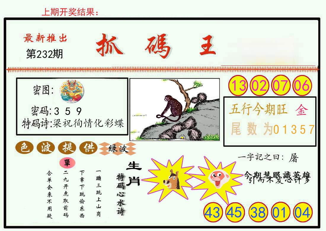 最新抓码王 第232期