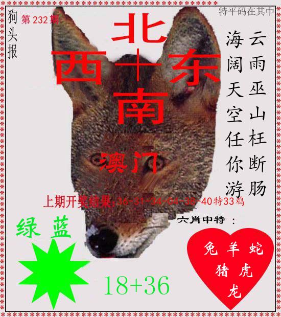 狗头报 第232期