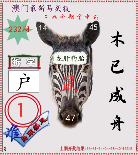 马头报 第232期