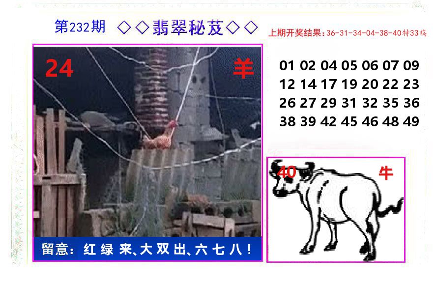 翡翠秘芨 第232期