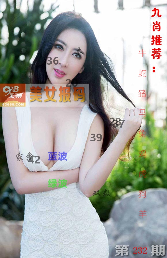美女报码 第232期