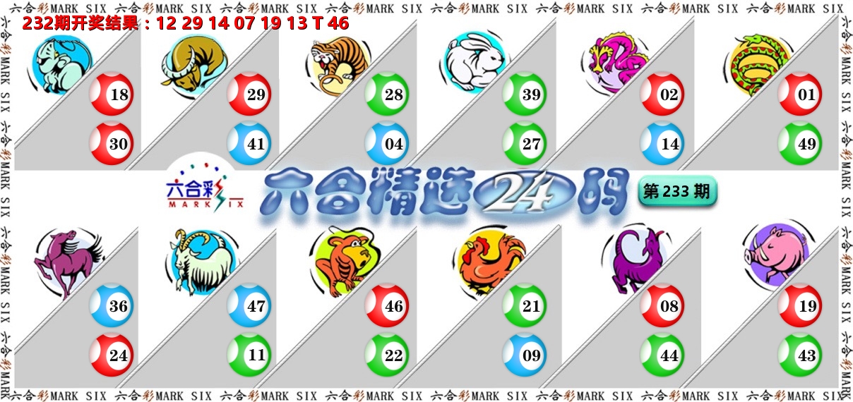 六合精选24码 第233期