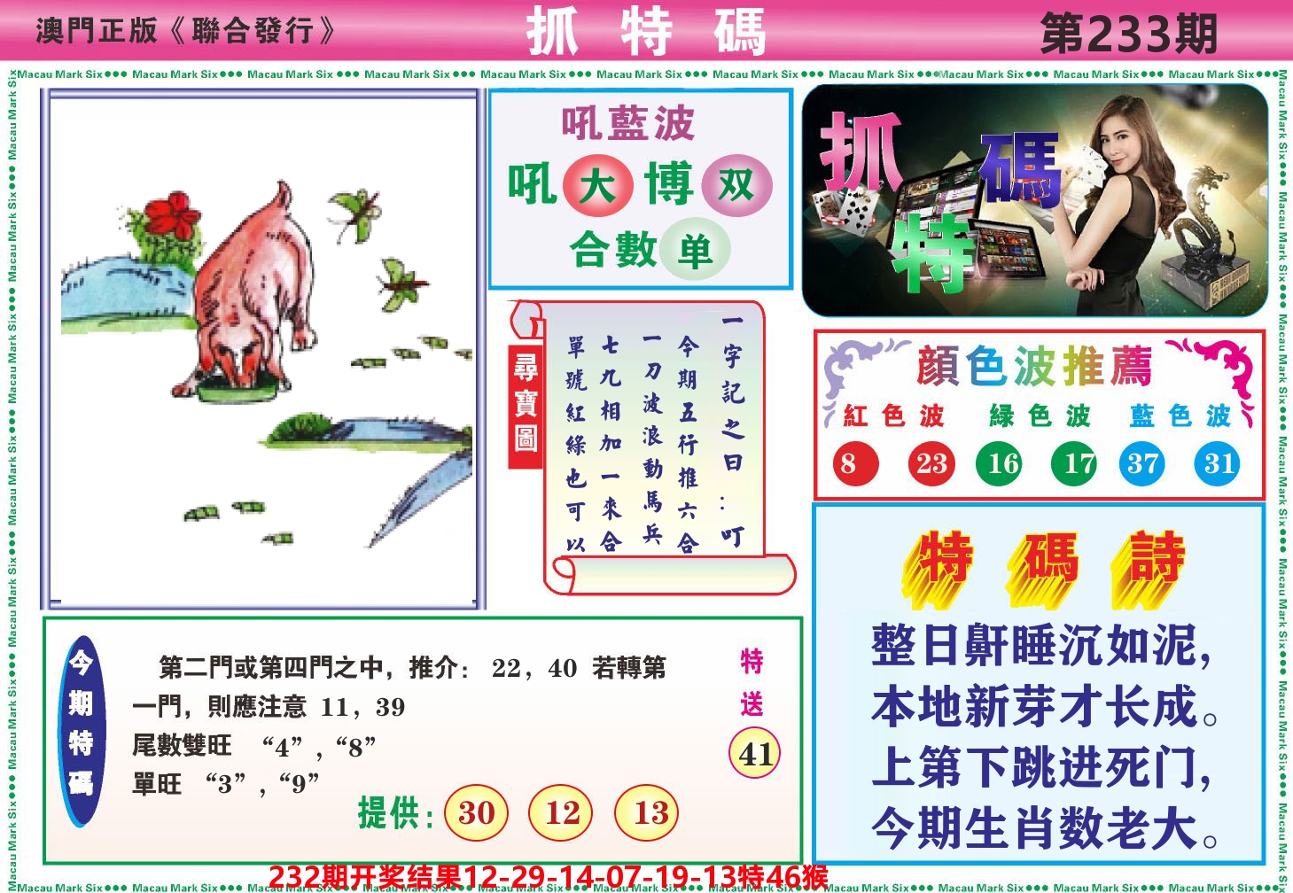 澳门抓特码A 第233期