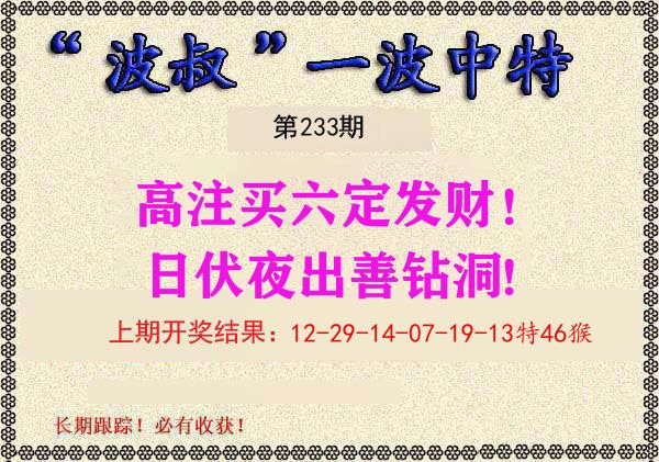 波叔中特 第233期