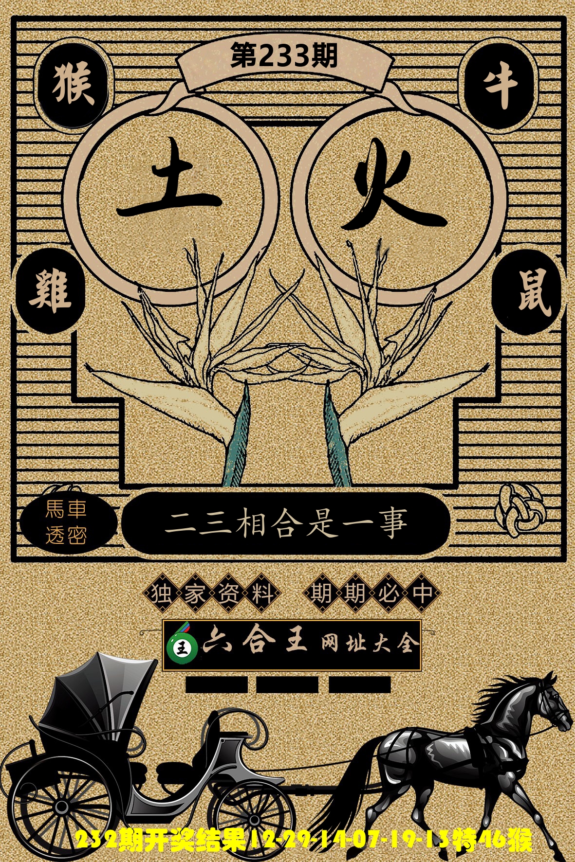 六合王马车透密 第233期